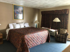 Гостиница Village Inn Motel Holt  Холт